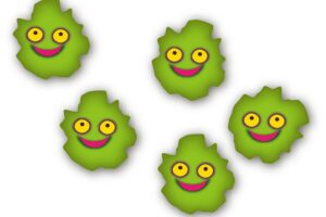 カビの落とし方を発生場所ごとに徹底解説!効果的なカビの除去方法を知ろう!